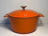 Dutch oven front view with lid on