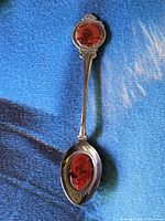 Full view of spoon showing handle and bowl with both enamel inserts