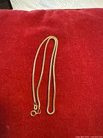 Full view of snake chain necklace on red background