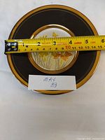 Full plate with tape measure showing 6-inch diameter