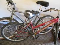 Side view of the two bicycles showing silver and red frames, tires, saddles and handlebars.