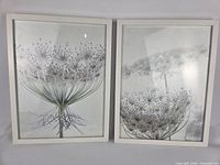 Both framed prints side by side showing overall condition and imagery
