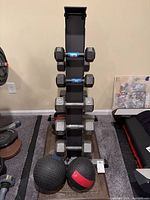 Front view showing rack loaded with dumbbells, two medicine balls at base
