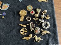 Overall view of all brooches on black fabric
