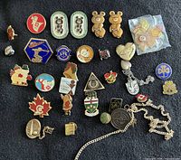 overview of approximately 35 pins and chain
