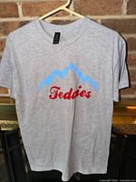 Full view of gray Teddies graphic t-shirt on hanger