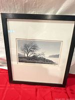 Front view of framed print, showing frame and matting