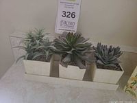 Three cream pots with faux succulents seated in matching tray