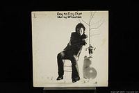 Front jacket of Murray McLauchlan Day to Day Dust LP