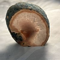 Front view of agate geode slice showing banding and druzy center