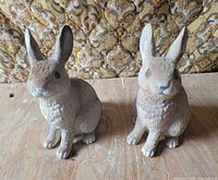 Front view of both resin rabbits