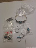 Group shot of all jewelry pieces in plastic bags including bracelet, rings, pendants and earrings