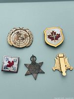 Group shot of all five military pins and medal