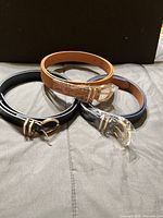 Three coiled belts showing colours and buckles