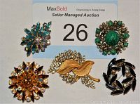 Photo shows 5 varied vintage brooches: a blue rhinestone floral shape, a green stone and pearl circular brooch, an amber floral rhinestone brooch, a gold-tone leaf brooch with rhinestones, and a black and clear rhinestone wreath brooch.