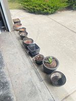 Line-up of nine assorted pots on driveway