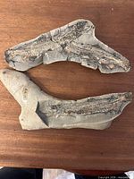 Both matrix pieces showing multiple fish impressions