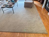 Full view of sage green wool area rug on hardwood floor