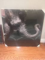 Front of sealed square elephant canvas print