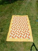 Full view of quilt laid on grass showing overall pattern and border