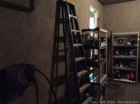 Image showing full ladder leaning against a wall near shelves with household items.