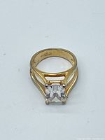 Overall view of ring front