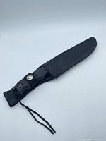 Knife inside sheath