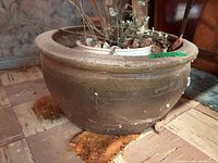Overview of brown ceramic planter showing rim chips and insert inside