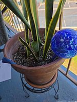Close view of pot, snake plant foliage, blue glass globe