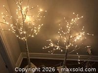 Both lit artificial birch trees illuminated