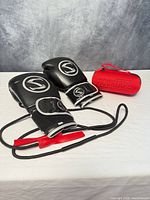 All items laid out – Smash boxing gloves, jump rope, RockTape suction cups case