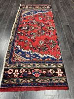 Full view of Hamadan runner rug showing red field and borders