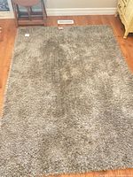 Full view of gray/taupe shag area rug on hardwood floor