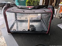 Front view of clear Colorday bird carrier with perch and cup visible