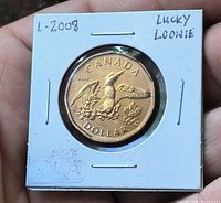Reverse of 2008 Lucky Loonie in holder