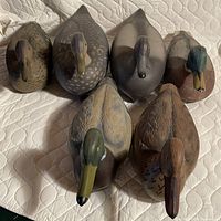 Top view of all six decoys showing mixed drake and hen paint schemes and general surface wear
