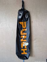 Full view of black Punch brand water-fillable bag hanging