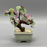 Front view of bonsai showing foliage, trunk, and pot