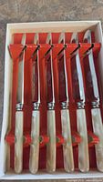Six tea knives arranged in red insert within box showing handles, blades and overall set