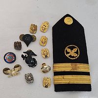 Group shot of all pins and shoulder board