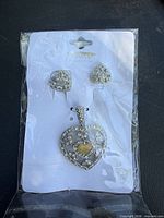 Front view of sealed package showing pendant and earrings