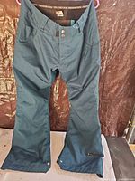 Full view of teal Ride Snowboards pants front