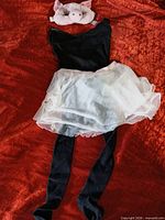 Full costume laid out showing mask, leotard with skirt, tights