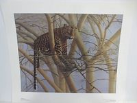 Full view of unframed print with leopard in tree