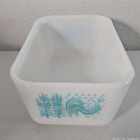 Interior and patterned side of refrigerator dish