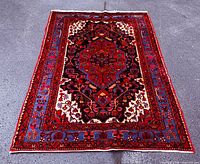 Full view of carpet showing design and colors