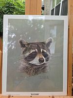 Full view of framed lithograph showing raccoon portrait