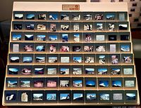 Display board holding dozens of mounted slides from the lot