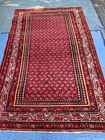Full view of Persian Saraband rug showing overall design and borders