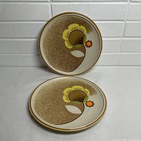 Two Mikasa Morning Sun dinner plates front view